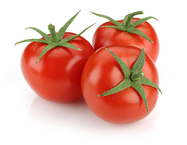 Tomato