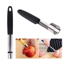 Seed Remover Fruit Apple Pear Corer