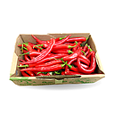 صورة المنتج