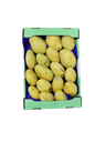 صورة المنتج
