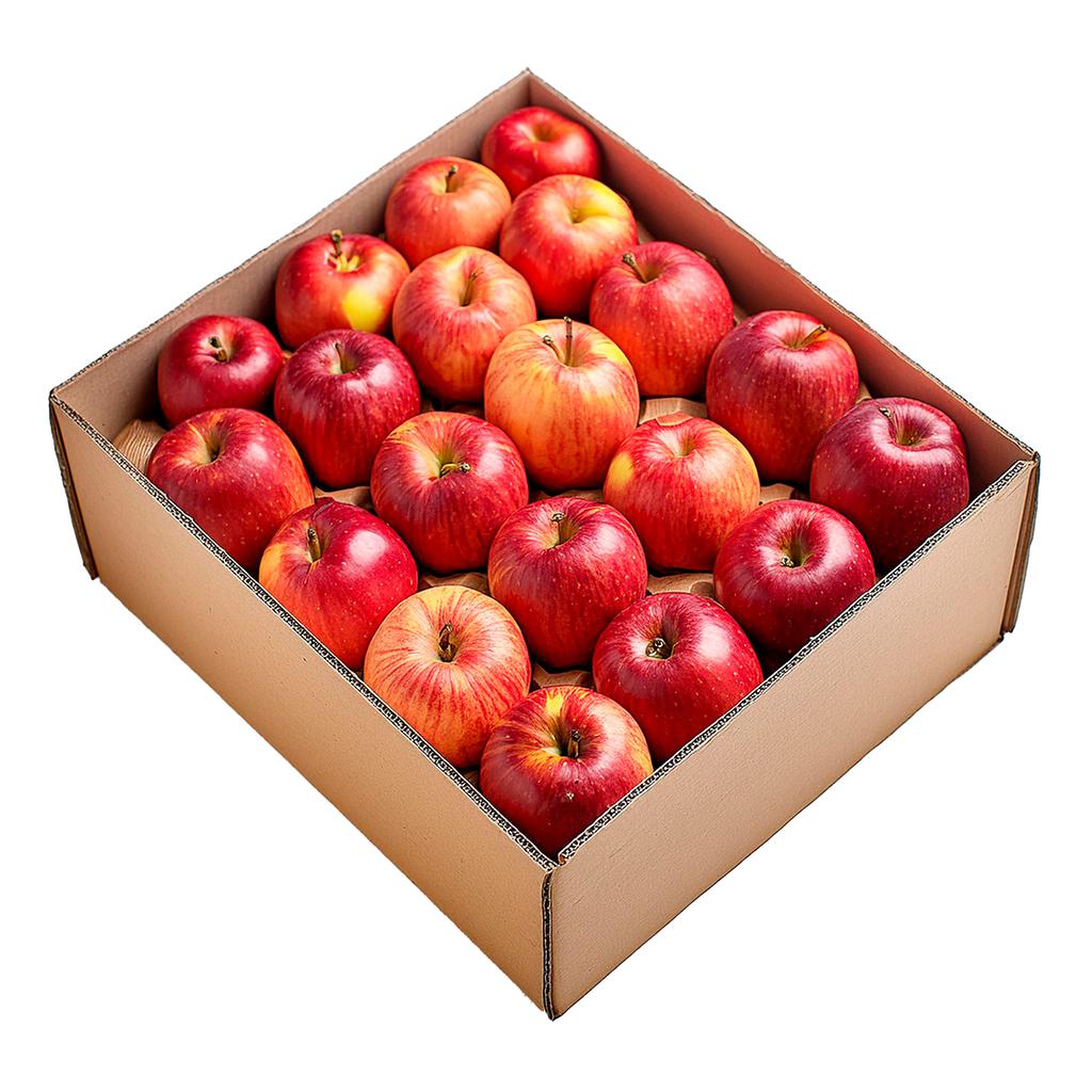 صورة المنتج