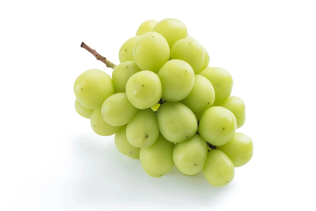 21930500