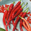 صورة المنتج