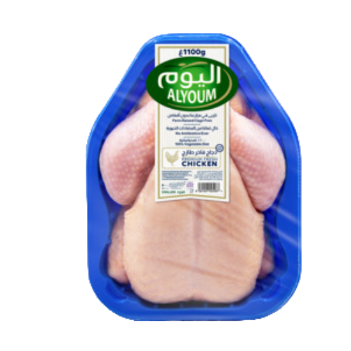 اليوم دجاج طازج