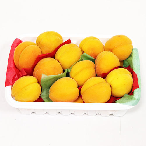 مشمش