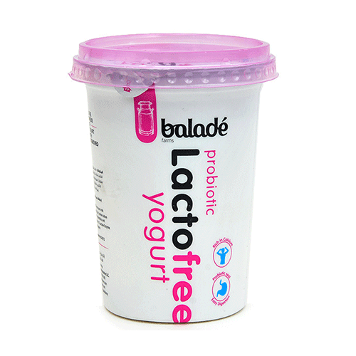 Balade Lactofree Yoghurt 450Gm