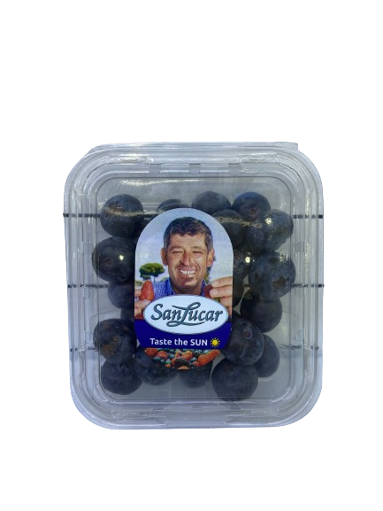 Blue Berries 125 Gm