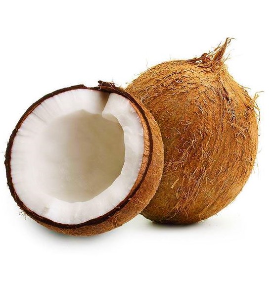 Coconut