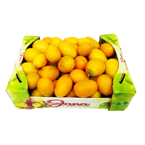 Kumquat Air Cargo