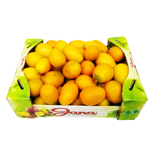 Kumquat Air Cargo