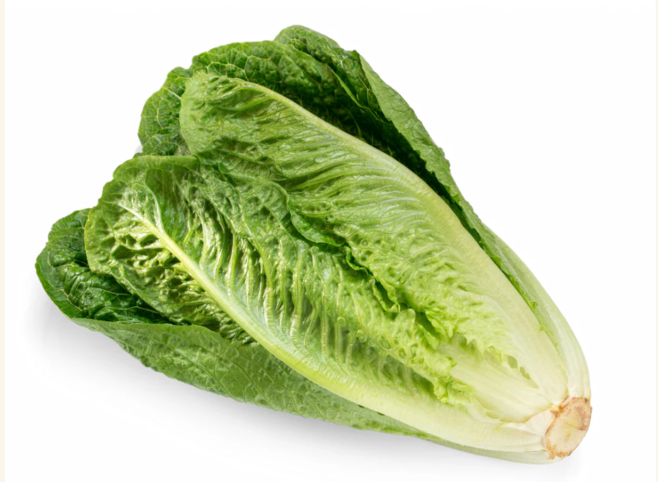 Romaine Lettuce