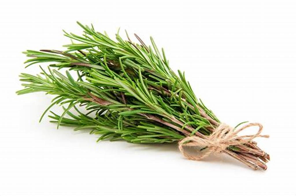 Rosemary