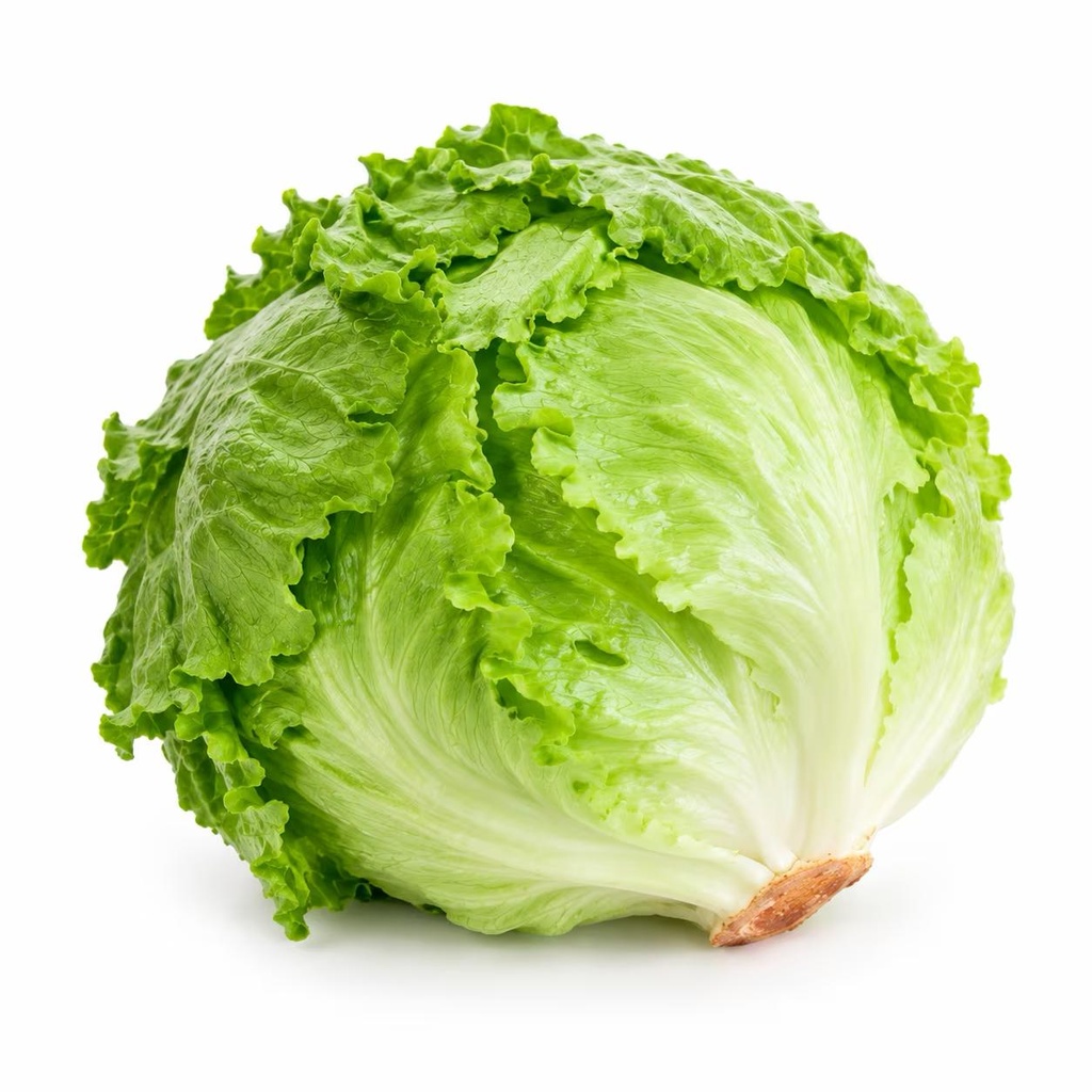 خس مدور