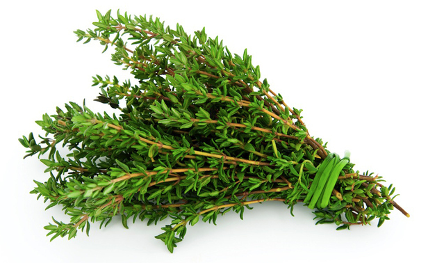 Thyme