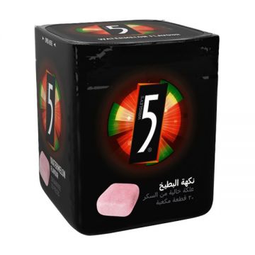 Five Gum Watermelon Bottle, 30pcs