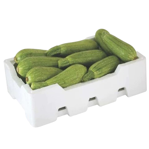 Zucchini