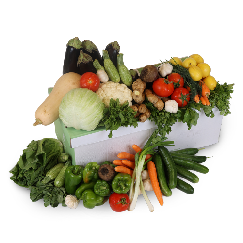 Vegetables Collection (Savings)