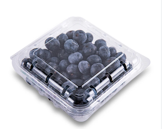 Blue Berries 170 Gm