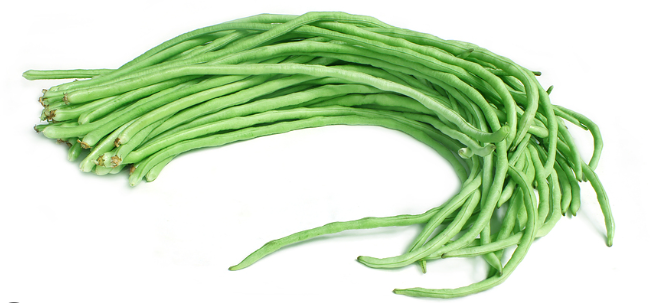 لوبيا طويله