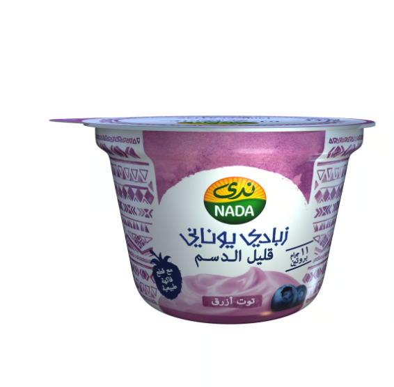 Nada Greek Yoghurt  Blueberry Low Fat