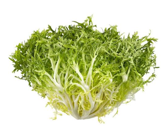 lettuce (Frisee)