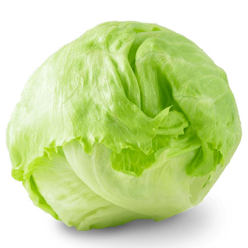 خس مدور