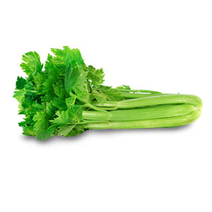 Celery