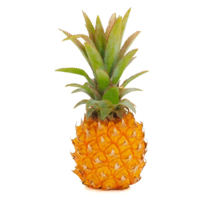 Baby Pineapple