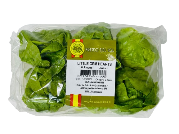 Mini Gem Lettuce Heart 6 pcs