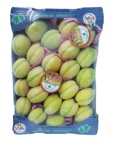 Apricot Ajami Air Cargo