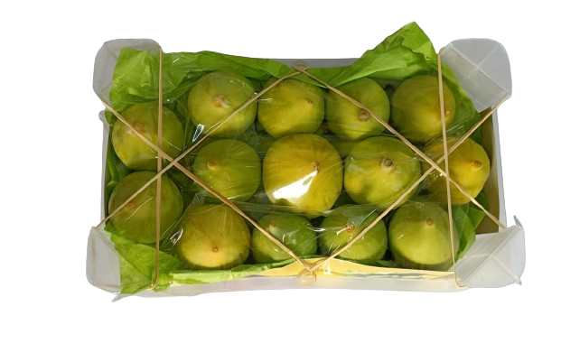 Green Fig Air Cargo