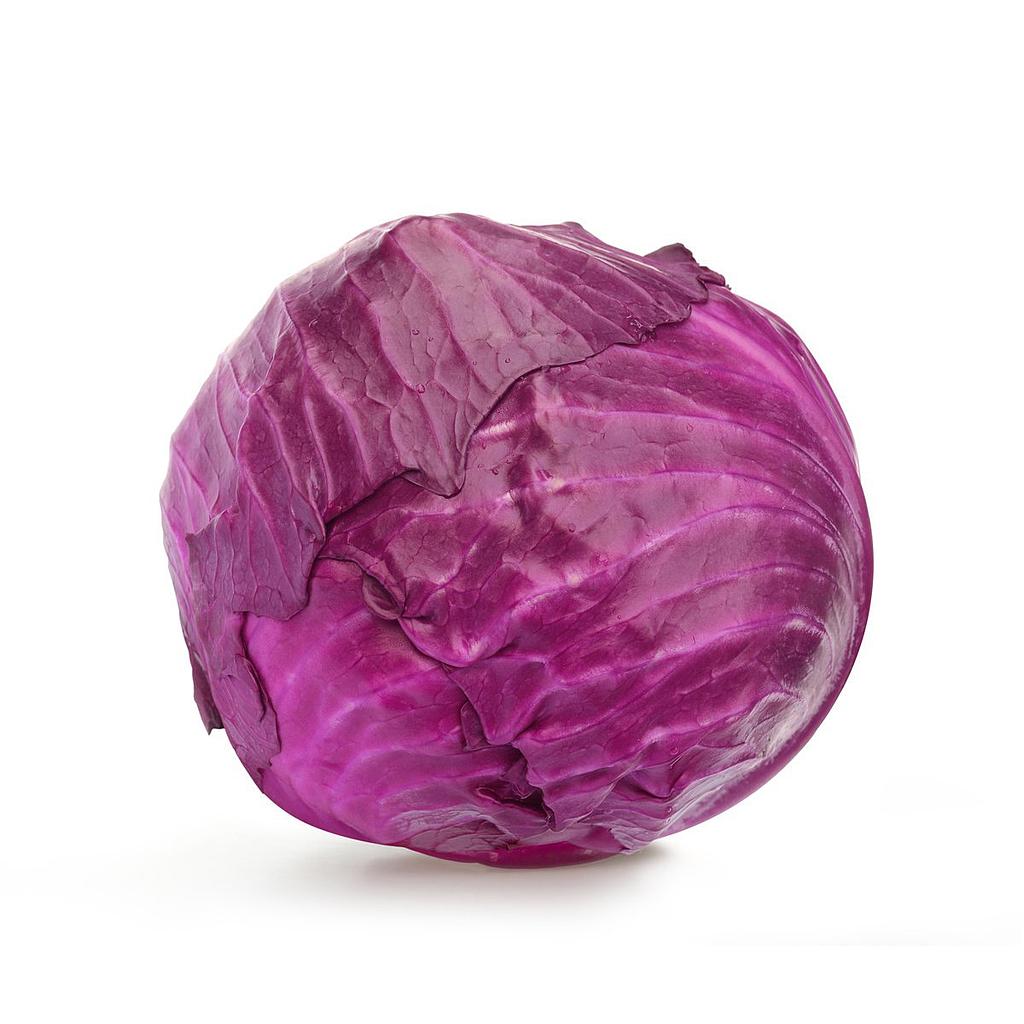 Red Cabbage