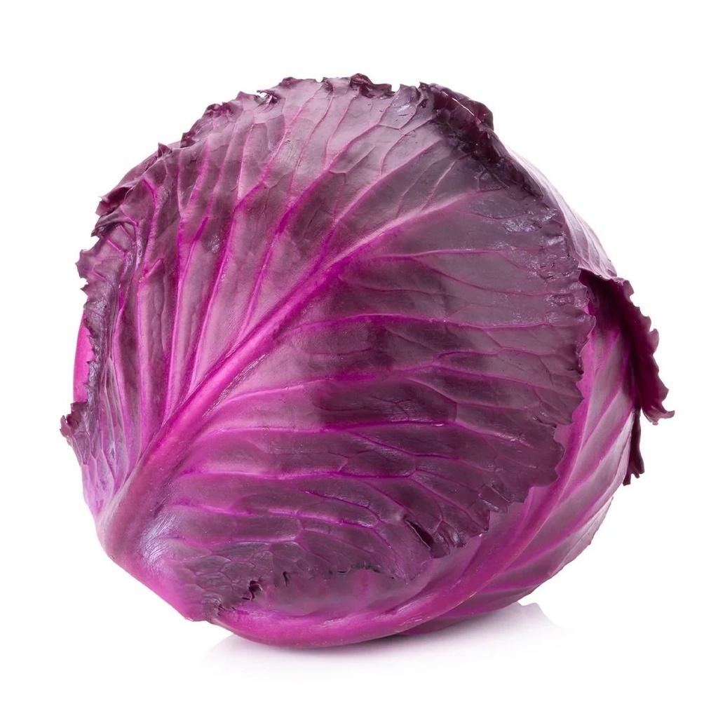 Cabbage Red