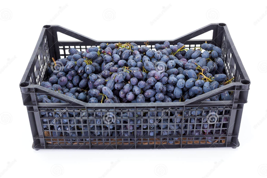 Black Grapes