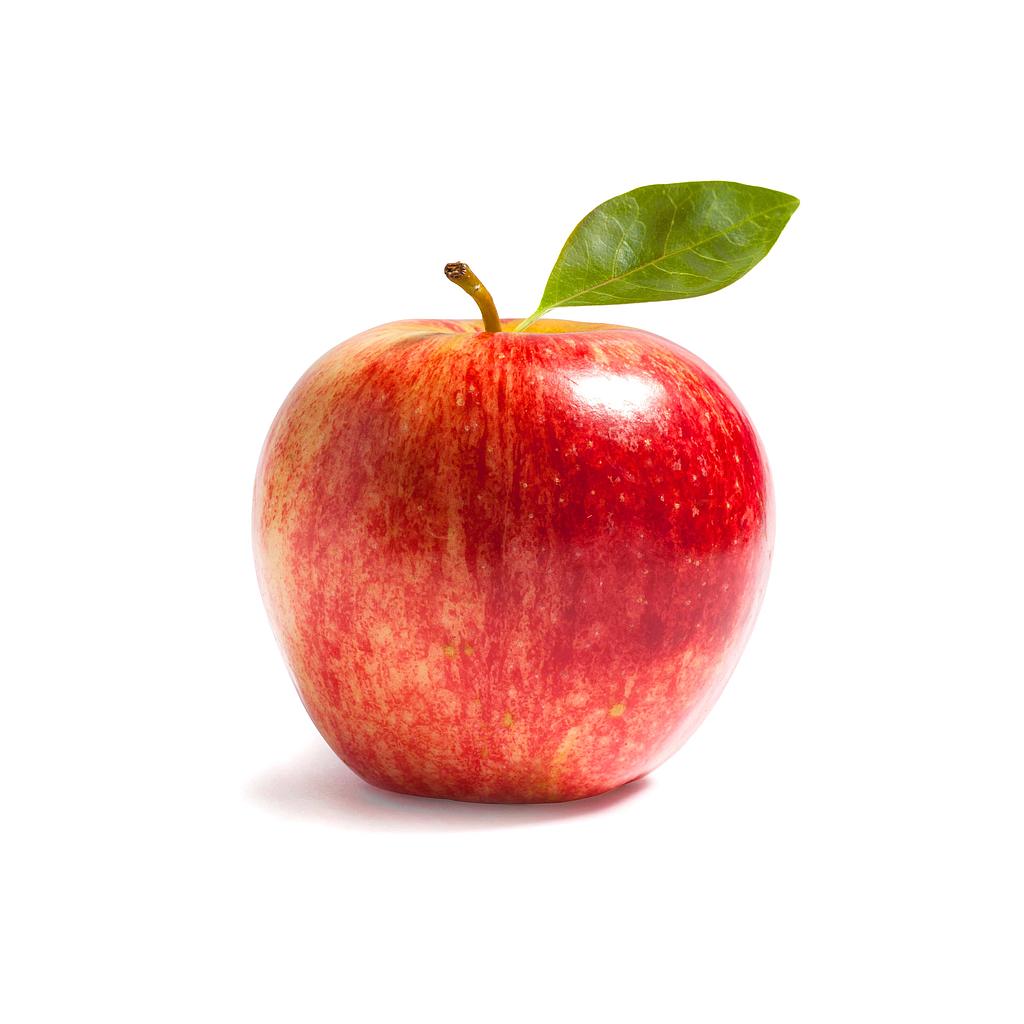 Gala Apple