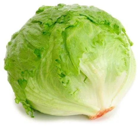 Round Lettuce