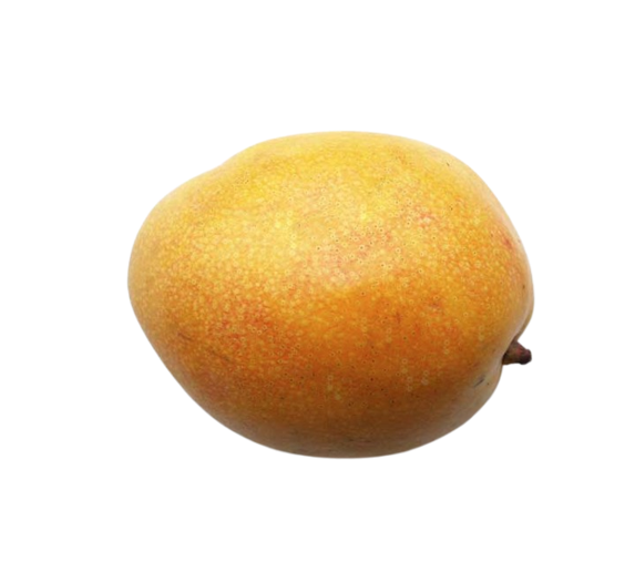 Mango Haydi