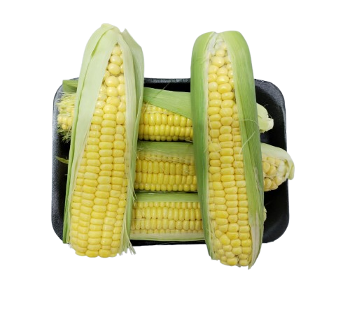 Sweet Corn