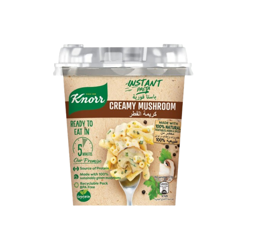 Knorr Instant Pasta Creamy Mushroom Sauce 67 g