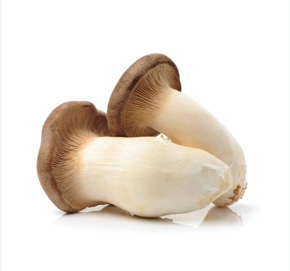 King Oyster Mushroom