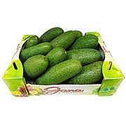 Baby Avocado Air cargo