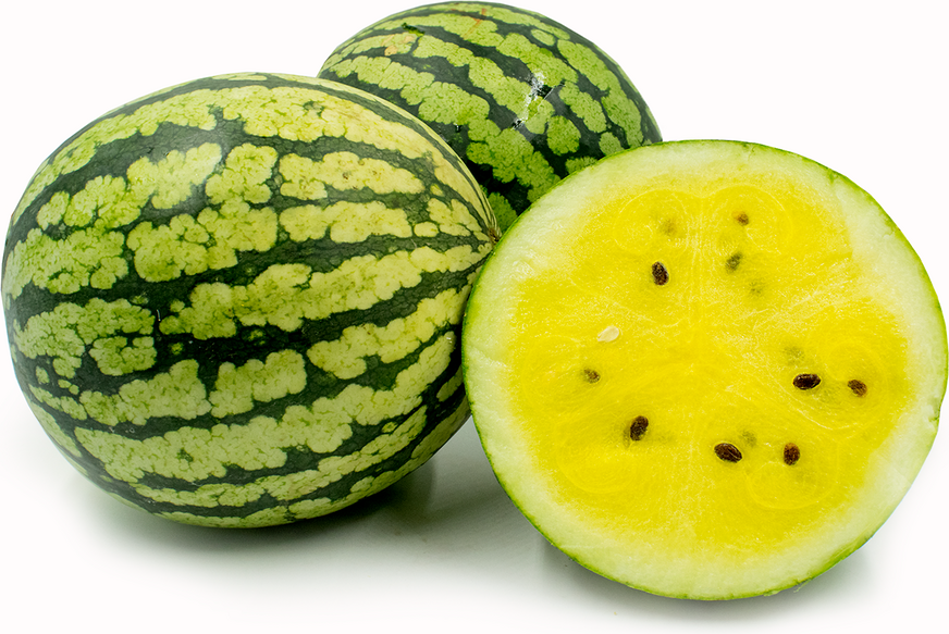 Yellow Watermelon