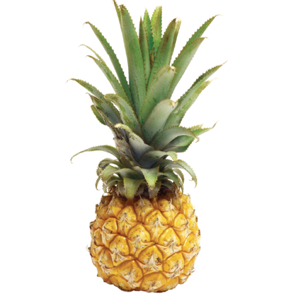 Baby Pineapple