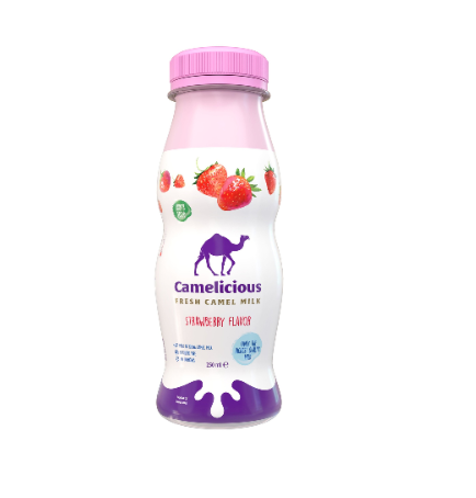 Camelicious Strawberry Flavor Milk 250 ML
