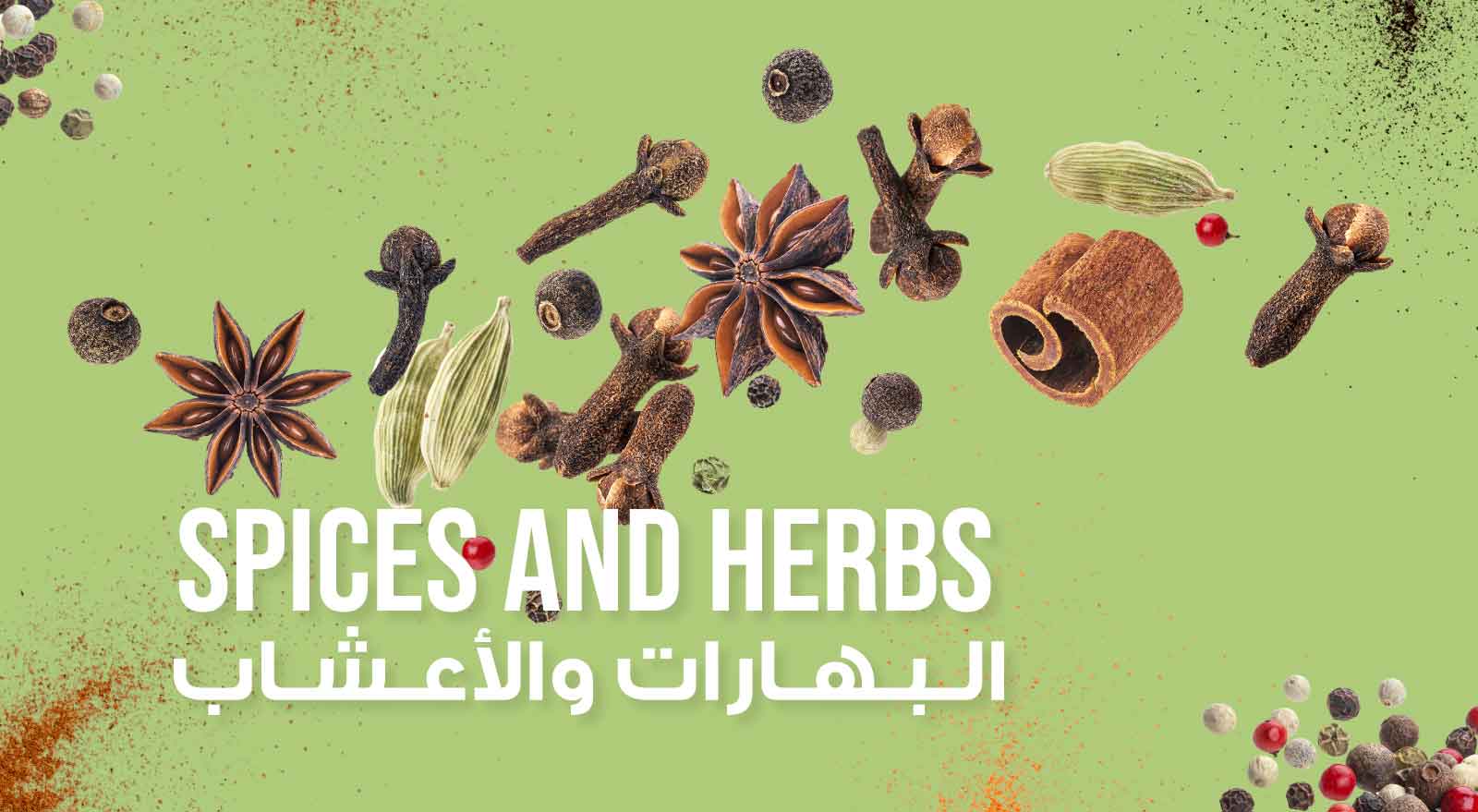 Spices & Grains & Herbs