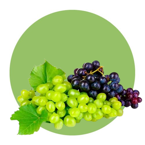 Fruits / Grapes