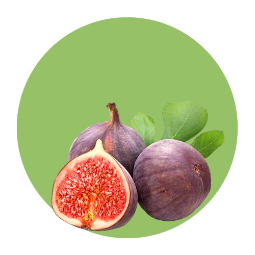 Fruits / Common Fig