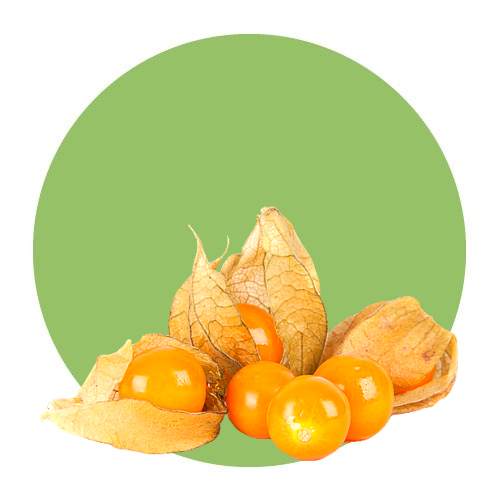 Fruits / Physalis