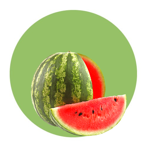 Fruits / Watermelon