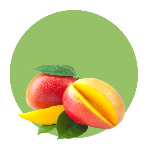 Fruits / Mango